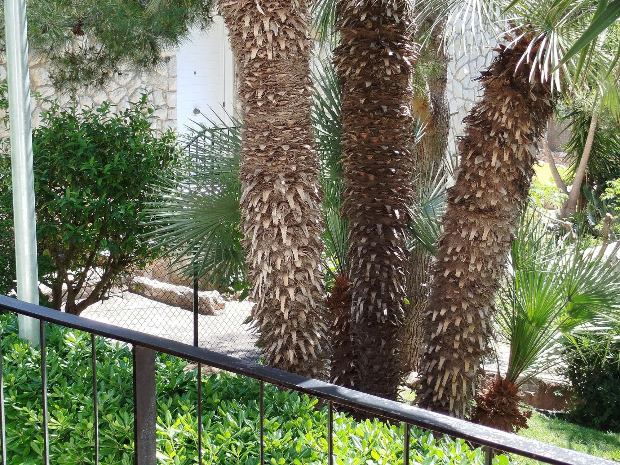 Brisa Del Mar Apartment ซาลอว์ ภายนอก รูปภาพ